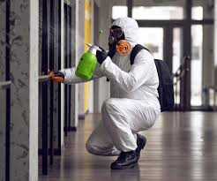 Best Commercial Mold Inspection  in Coldspring, TX